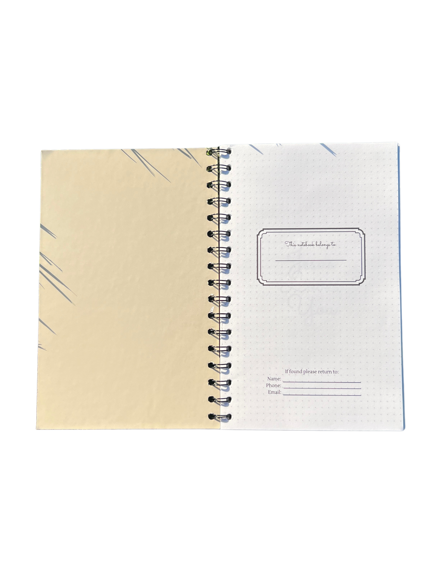 Rooted in Truth Bundle