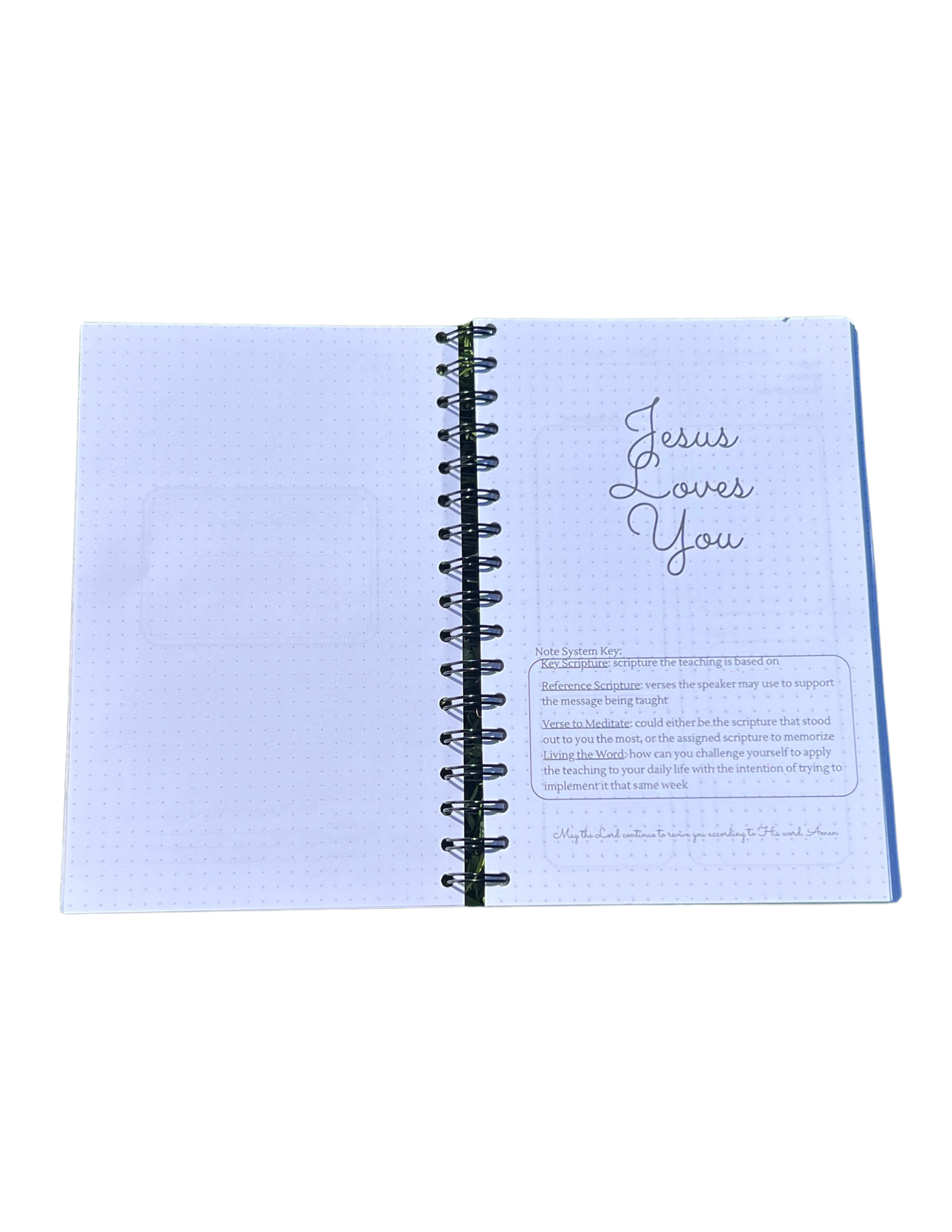 Rooted in Truth Bundle
