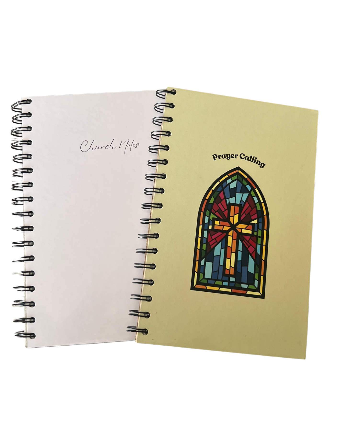Rooted in Truth Bundle