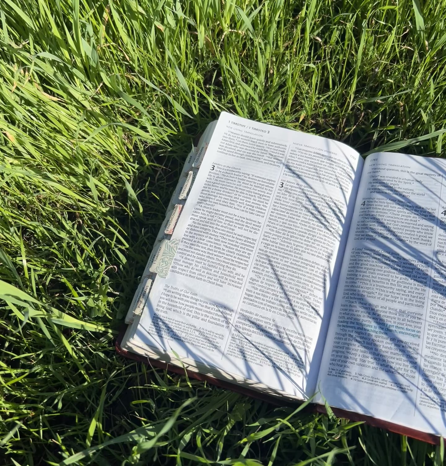 Load video: Bible open to 1 Timothy 4:13